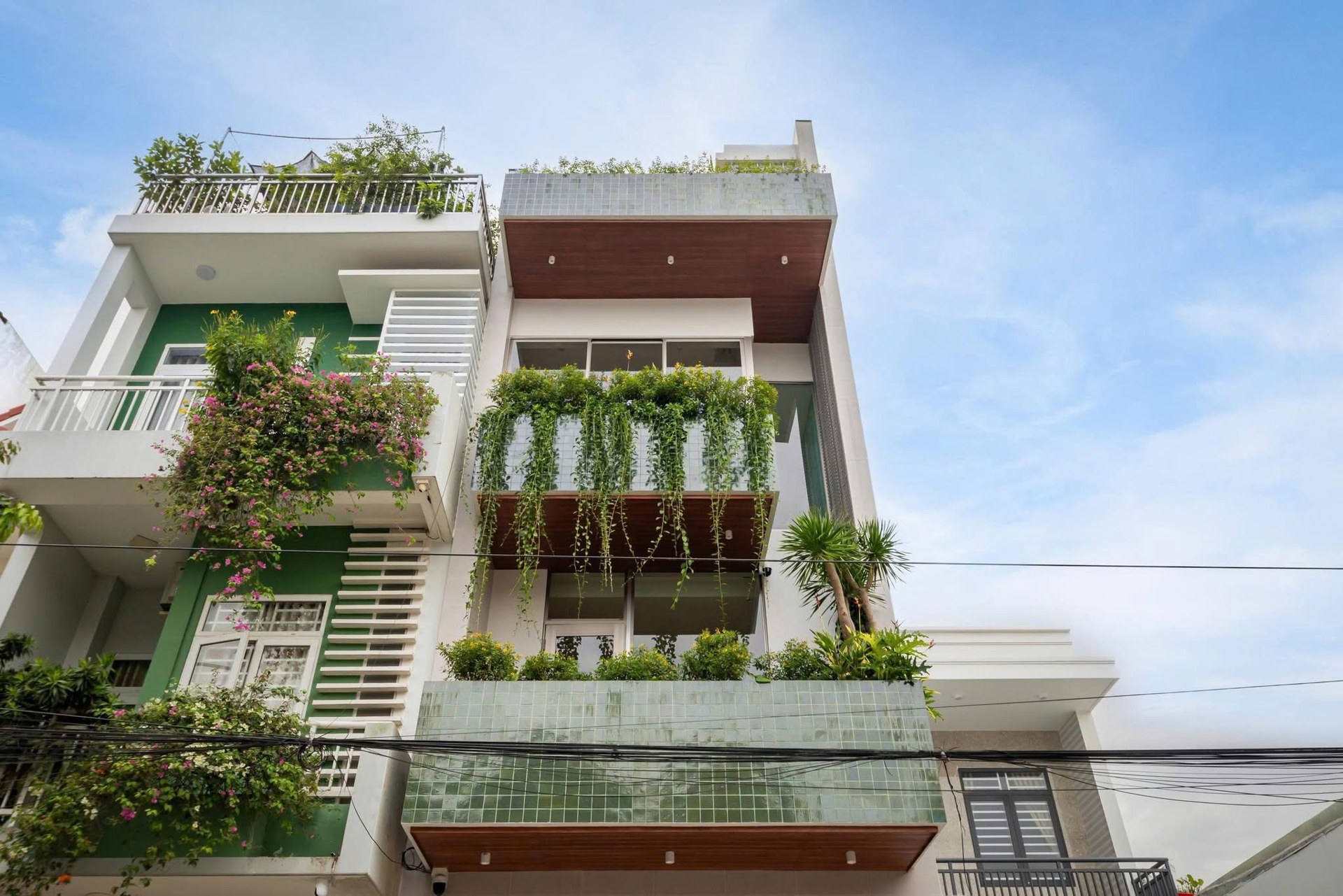 Mặt tiền nh&agrave; phố c&oacute; c&acirc;y xanh